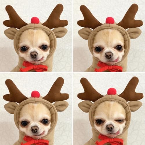 Hundekostüm Weihnachten, Weihnachtsmann Rentier Kostüm für hunde, Haustier-Elch-Weihnachtskostüm, Niedlicher Hund Weihnachtskleidung, für Kleine Hunde, Geeignet für 9–12 Pfund, L