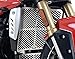 R&G Stainless Steel Radiator Guard For Triumph Speed Triple R