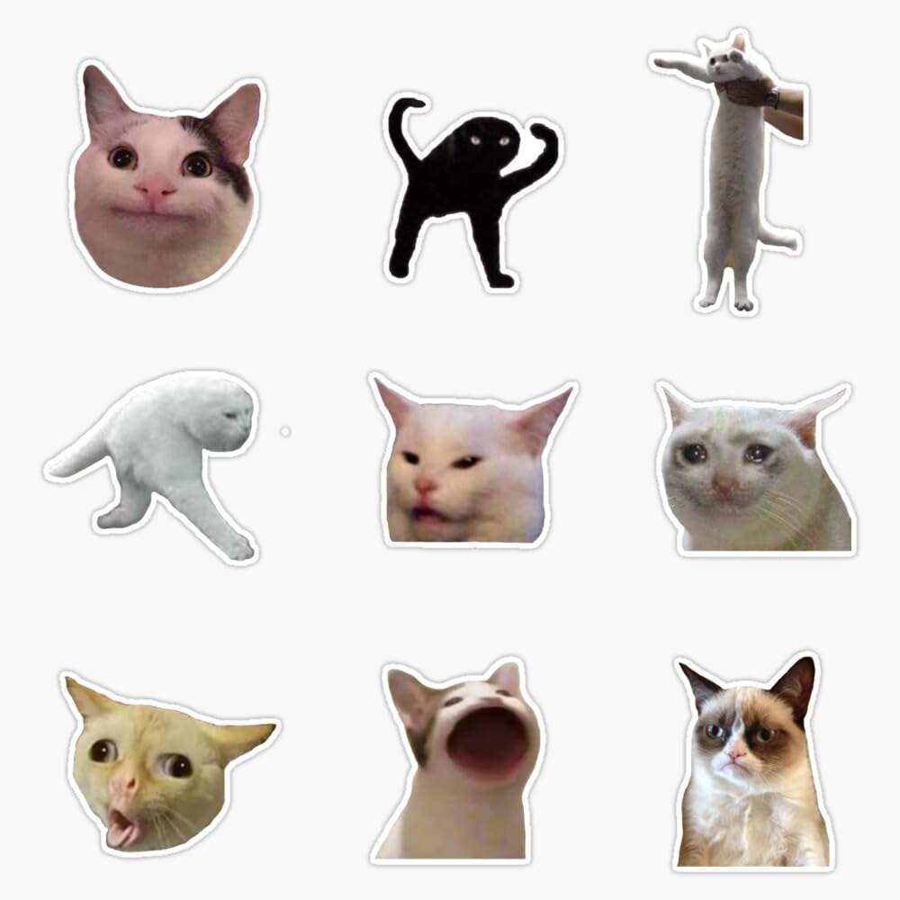 Meme Cats Pack Sticker Vinyl Waterproof Sticker Decal Car Laptop Wall Window Bumper Sticker 5"
