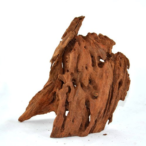 Bachflohkrebse Mangrovenwurzel für Aquarien und Terrarien 28-35 cm Wurzel Mangroven