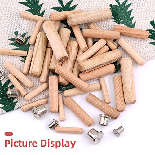 image for Hilitchi 508Pcs 1/4