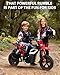 Electric Dirt Bike for Kids 10-12 Years, 350W Motor 14MPH Off-Road Motorcycle, 12