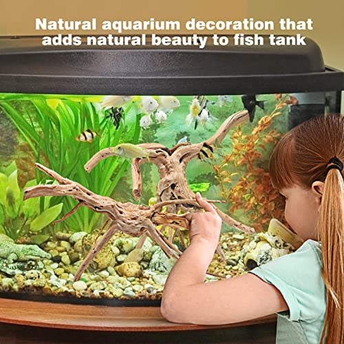 Wdefun Driftwood For Aquarium Decor Natural Spider Wood Branches For Fish Tank Decorations 7 Pcs (4-8 Inch)… #TOP4