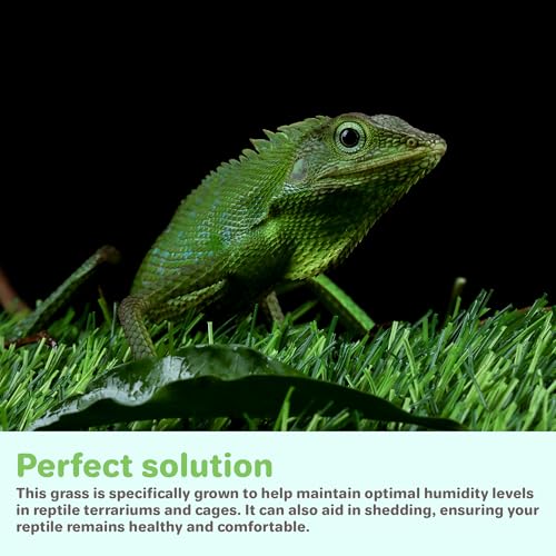 Gotta Go Grass for Reptiles - Natural Grass Bedding Mat & Resting Pad, Real Lawn Patch for Tortoises, Lizards, Snakes and Amphibians, Safe & Absorbent Reptile Substrate, 16\" x 24\" (Refill 1-Pack)