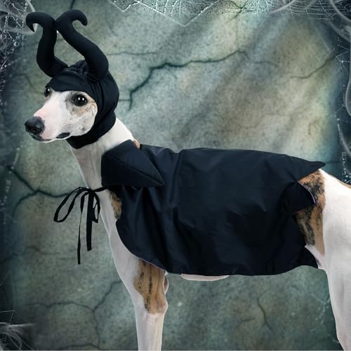 Disfraz Halloween para Perro Vampiro con Capa y Cuernos miniatura 5