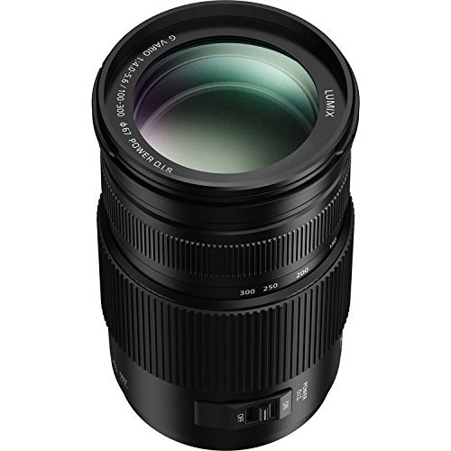 Panasonic Lumix G Vario 100-300mm f/4-5.6 II Power O.I.S.