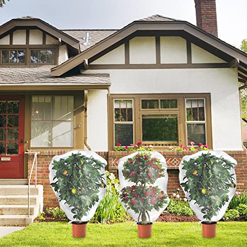 Sacos com cordão de barreira para pássaros,de jardim, de malha para pássaros para jardins - para veg