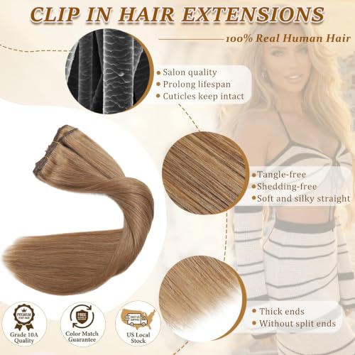 Image of Chestnut Brown Hair Extensions Real Human Hair Clip Ins Remy for Women | No Tangle, No Shedding, Human Hair Clip in Extensions, Seamless Invisible, Volume, Double Weft, 8PCS, 100g, Straight