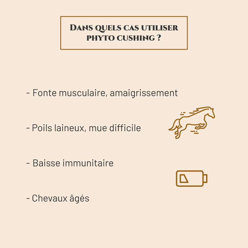 Phyto Cushing Complément nutritionnel Cheval 1 kg Gattilier Fenugrec Vitamine C Huile de Foie de morue Équilibre Hormonal Immunité Forme Marque Française