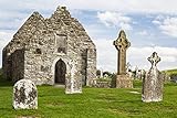 Ancient stone roofless church with celtic crosses in a grassy field County Offaly Ireland Poster Print (19 x 12)