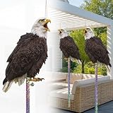 5 Pack Hanging Eagle to Scare Animals Away, Flat Cardboard Fake Eagle with Reflective Tape to Scare...