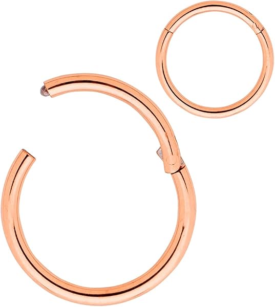 365 Sleepers Acero quirúrgico 316L Unisex Septum Tragus Helix Segmento con bisagras Nariz Labio Anillo Pendientes de aro Joyería para piercing corporal 20G 18G 16G 14G 12G 10G 8G 6G