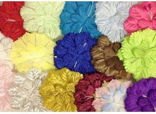 Miniatura 2 de Capia Flowers - Base plana de clavel para ramilletes a granel, 48 piezas, más de 20 colores disponibles (blanco)