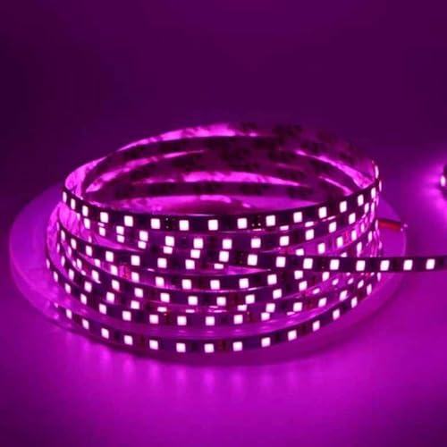 24V h LEDe[v zt 1{ sNp[v SMD5050 x[X Px ؒf\ (300cm)