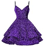 Short Prom Dresses for Sweet 16 Sequin V-Neck Homecoming Dress for Teens Homecoming Dresses for Women Plus Size Plum US 16