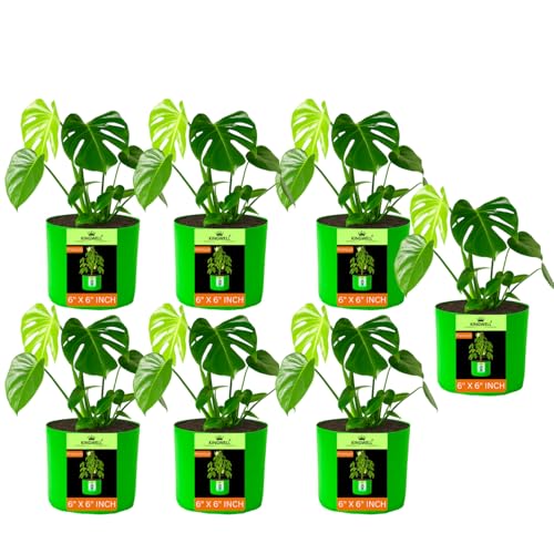 Image of Kingwell Plant Grow Bags 6x6 inch pack of 7, Bags for Plants Gardening Home, Grow Bags for Terrace Gardening