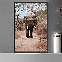 Framed Canvas Wall Art Elephants Animals Dramatic Elephants Farmhouse/Country Living Room Multicolor Photography - 16x24 inches