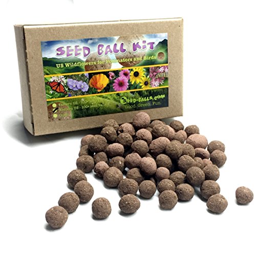 US Native Wildflower Seed Ball Kit. Makes 100 Wildflower Seed Bombs for pollinators. (EasternUS)