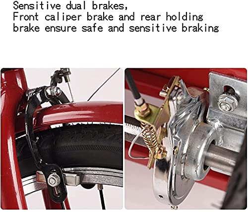 WRHOPR Erwachsene Dreirad 3-Rad-Cruiser-Trike-Fahrräder, Faltbares Dreirad Für Erwachsene, 3-Rädriges 6-Gang-Dreirad 20 Zoll Herren Damen Mit Kinderrücksitz Vorne Re – Bild 5