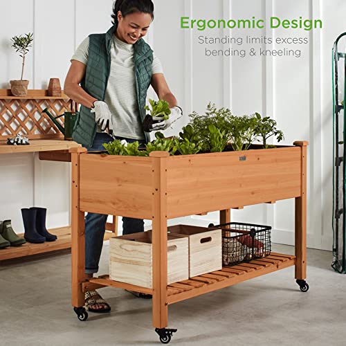 Best Choice Products Raised Garden Bed 48x24x32inch Mobile Elevated