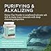 Living Clay Detox Clay Powder | All-Natural Bentonite Calcium Clay for Internal & External Deep Cleansing | Perfect for Mask, Bath or Wrap | .5 Gal