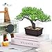 Der Rose Artificial Bonsai Tree 8 Inch Zen Fake Plant Modern Shelf Office Desk Decor Japanese Style Indoor