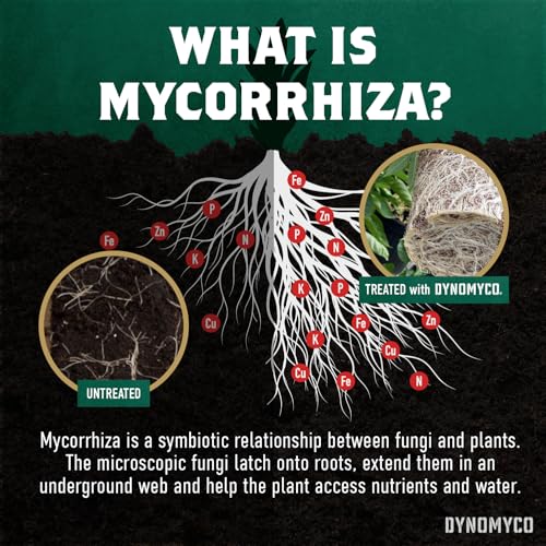 Inoculante Micorrízico Granulado DYNOMYCO 200g + Kit 4-en-1 miniatura 5