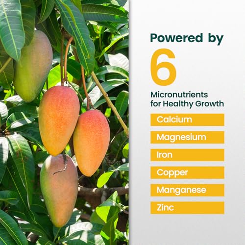 Fertilizante Líquido de Árbol de Mango 16oz miniatura 4