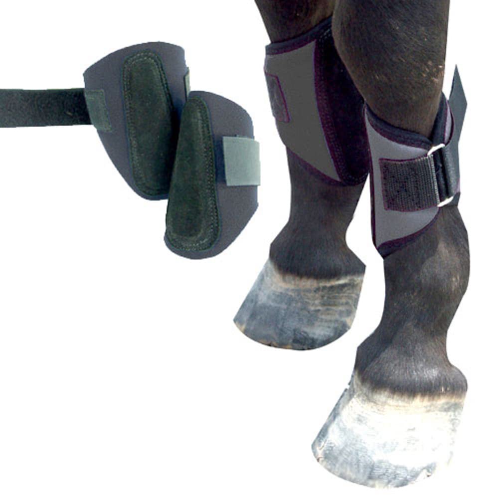 Intrepid International - Botas de férula para Caballo