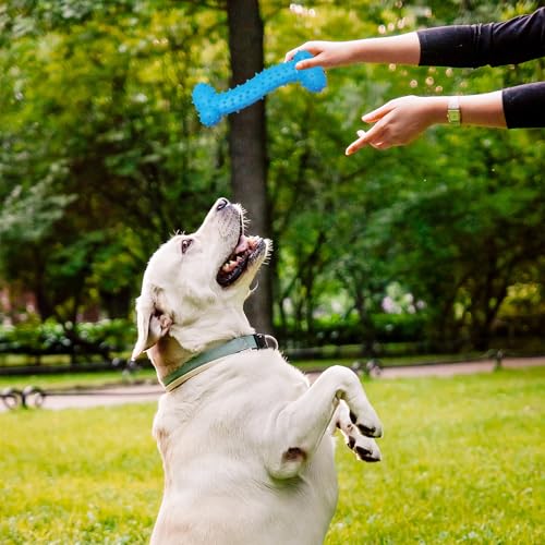 KEORHEZ Welpe Zähne Kauen Spielzeug 10Pcs, Juckreiz Kleine Hunde Welpenspielzeug Ring, Gummi Kauspielzeug Mundgesundheit Welpen Interaktives Naturkautschuk Spielzeug Kleiner Ring für kleine Hunde