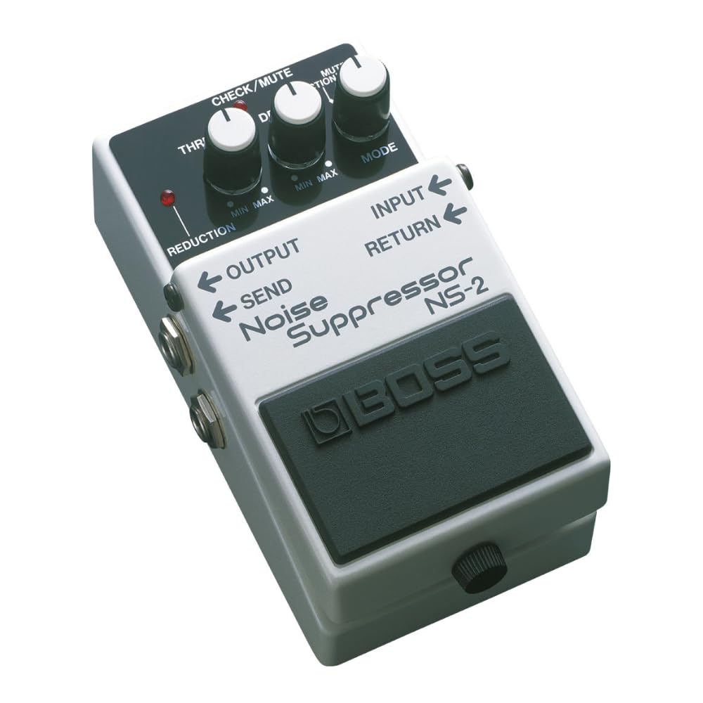 Amazon.com: Boss NS-2 Noise Supressor Pedal Bundle w/2x Strukture