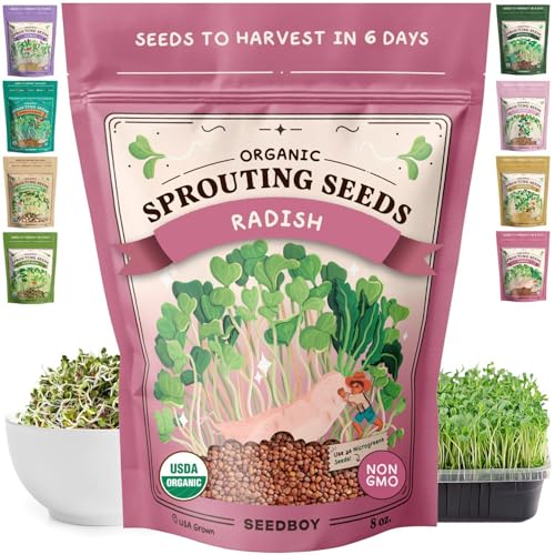 Seedboy Organic Non-GMO Radish Seeds for Sprouting - USA Grown Microgreens Sprouting Seeds - 8 oz Bag Makes 8 Quarts / 32 Servings (Daikon Radish)