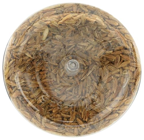 365 by Whole Foods Market, Cumin Seed, 1.48 oz - image 6