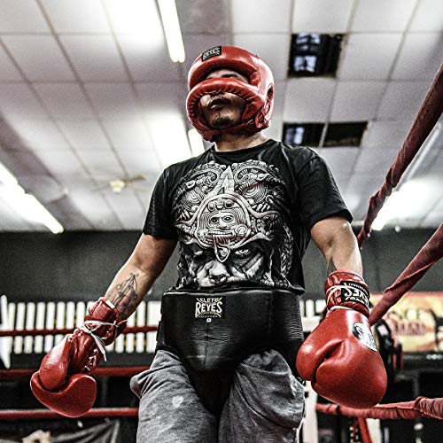 Cleto Reyes Kidney And Foul Groin Protector, Boxing Training Equipment, Protective Gear For Men, Large, Black #TOP5