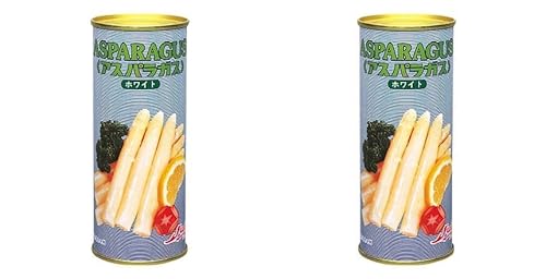 Xg[ʋl AXpzCg (Y) J×2 퉷(܂Ƃߔ) (VandroStEINDEXBOX)