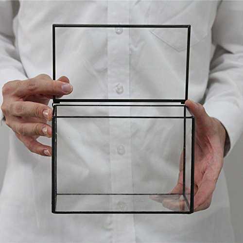 Ncyp 20151222001 Small Rectangle Glass Terrarium Planter thumb #5