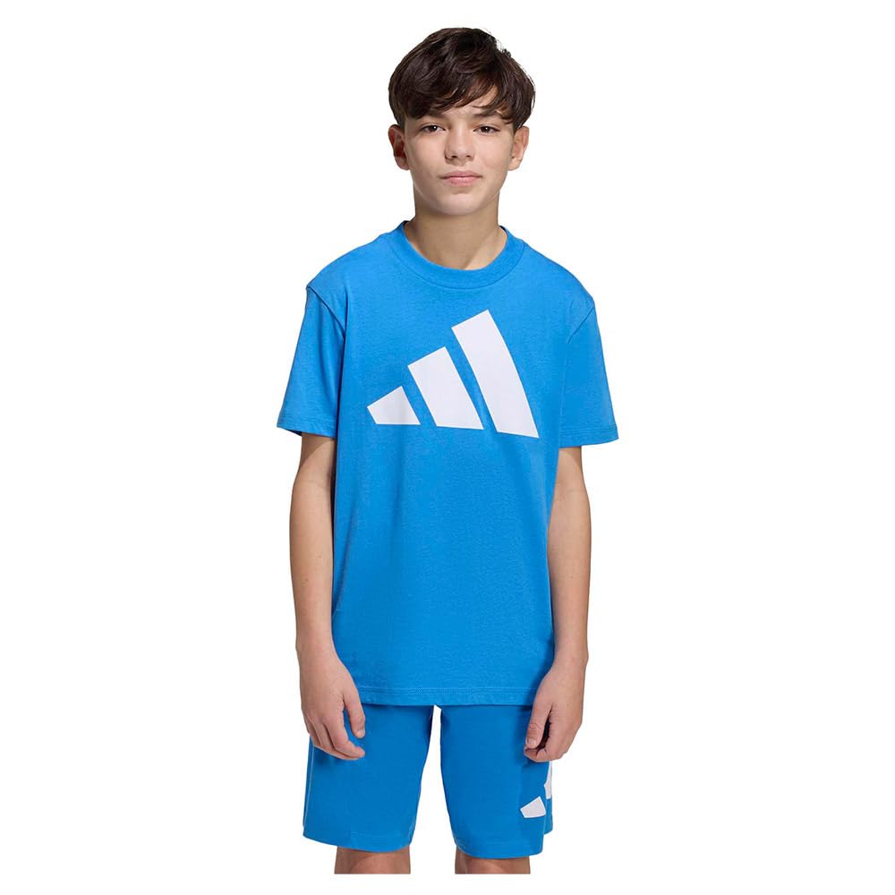 adidas Unisex Kids Essentials Big Logo T-Shirt, ray Blue/White, 11-12 Years
