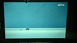 Review Image by Mateo Sanabria