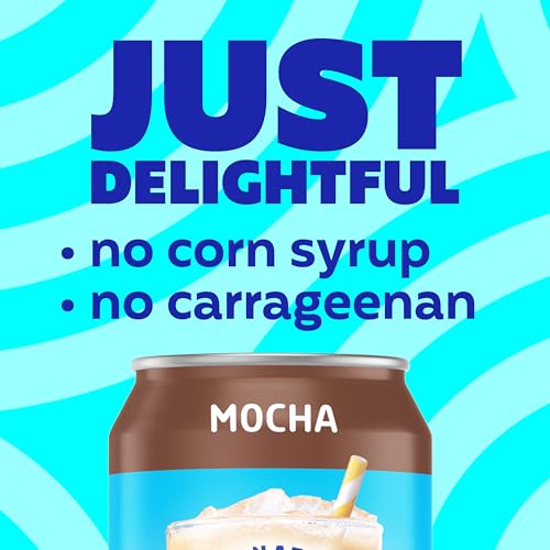 International Delight Mocha Iced Coffee