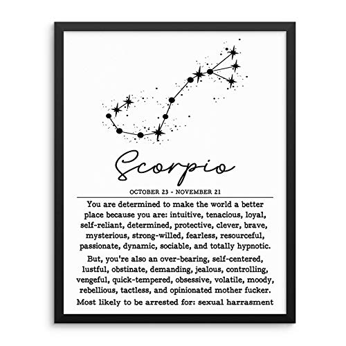 Funny Adult Humor Horoscope Zodiac Constellation Wall Decor Art Print - 8