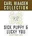 The Carl Hiaasen Collection: Lucky You and Sick Puppy