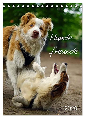 Preisvergleich Produktbild Hundefreunde (Tischkalender 2023 DIN A5 hoch), Calvendo Monatskalender