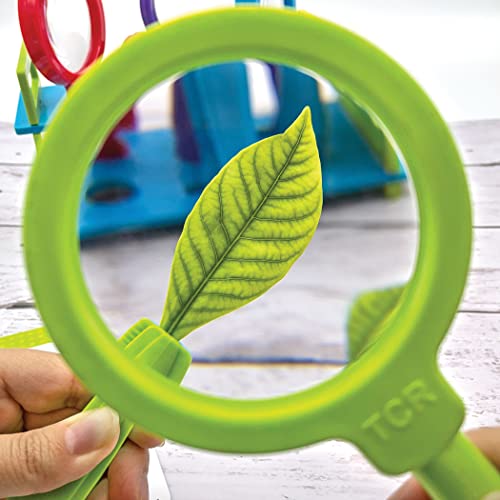 Image of Teacher Created Resources Up-Close Science: Magnifying Glasses & Tweezers Activity Set (TCR20368)