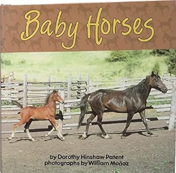 Library Binding Baby Horses Book