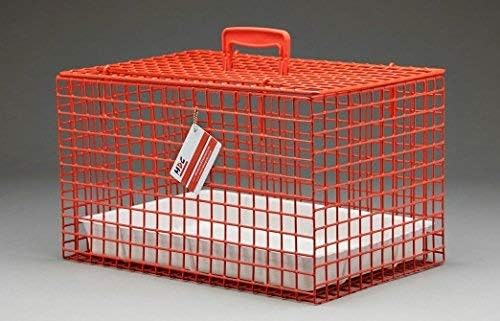 MDC Cat Carrier with Top Opening – Lightweight Mesh Pet Travel Crate for Vet Visits, Cats & Kittens – Breathable, Easy Clean Cat Basket with Handle – Secure & Spacious Cat Crate for Travel, Red