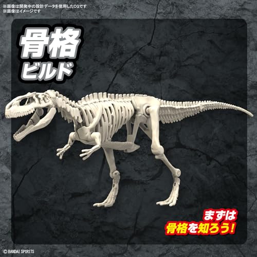 Bandai Hobby Plannosaurus Giganotosaurus Modelo Kit miniatura 6