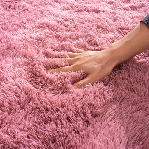 Small Blush Rugs for Bedroom, Fluffy 2x3 Rug Throw Non Slip for Bedside Dorm Kids Room, Plush Comfy Shag Carpet for Home Decor Aesthetic