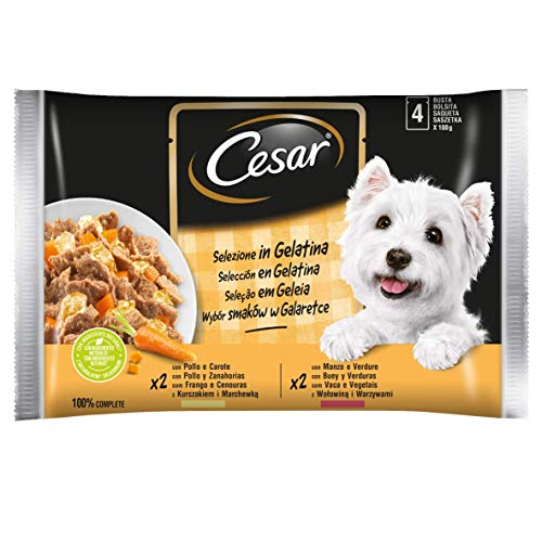 Cesar Comida Húmeda para Perros, Selección Carnes Mixtas en Gelatina, Multipack (13 Packs x 4...