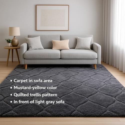 Image of Carpet for Hallway, Kitchen, and Modern Interiors, Cozy Shag Runner for Living Room, Entryway & Office Decor Size 5x8 feet Full Grey