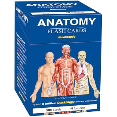 Anatomy Flash Cards